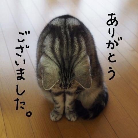 ナナ