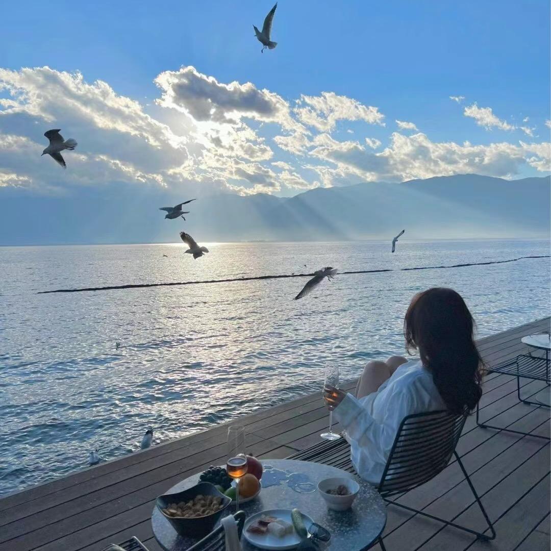 墨橘的坦途