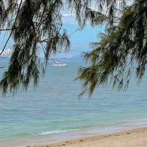 带着双子去旅行