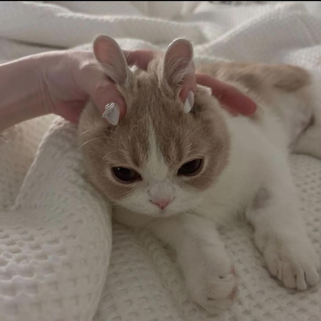 睡觉不眨眼