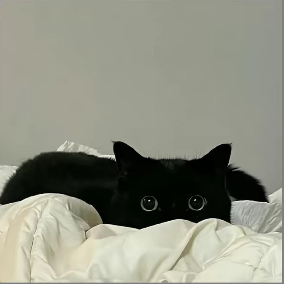 由美.