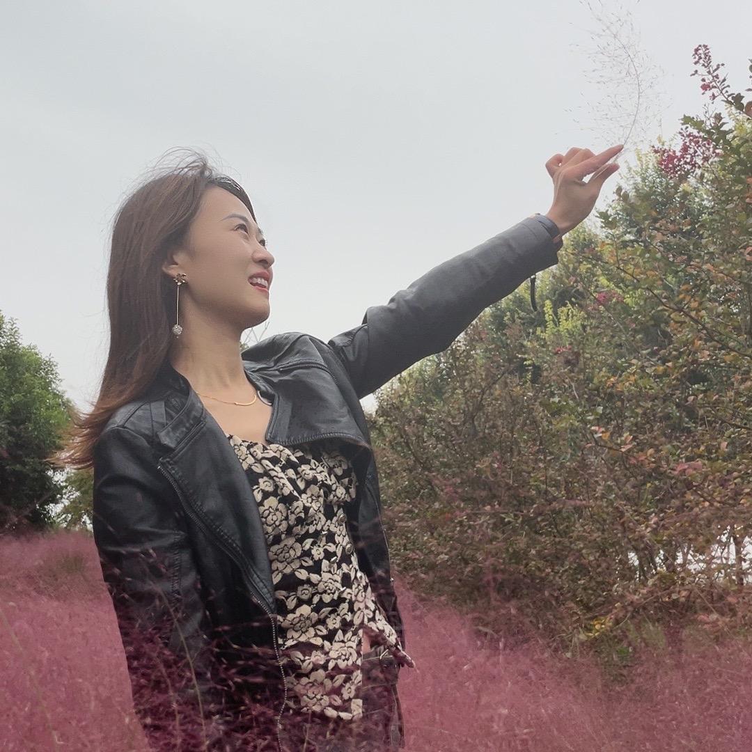 Ms.张