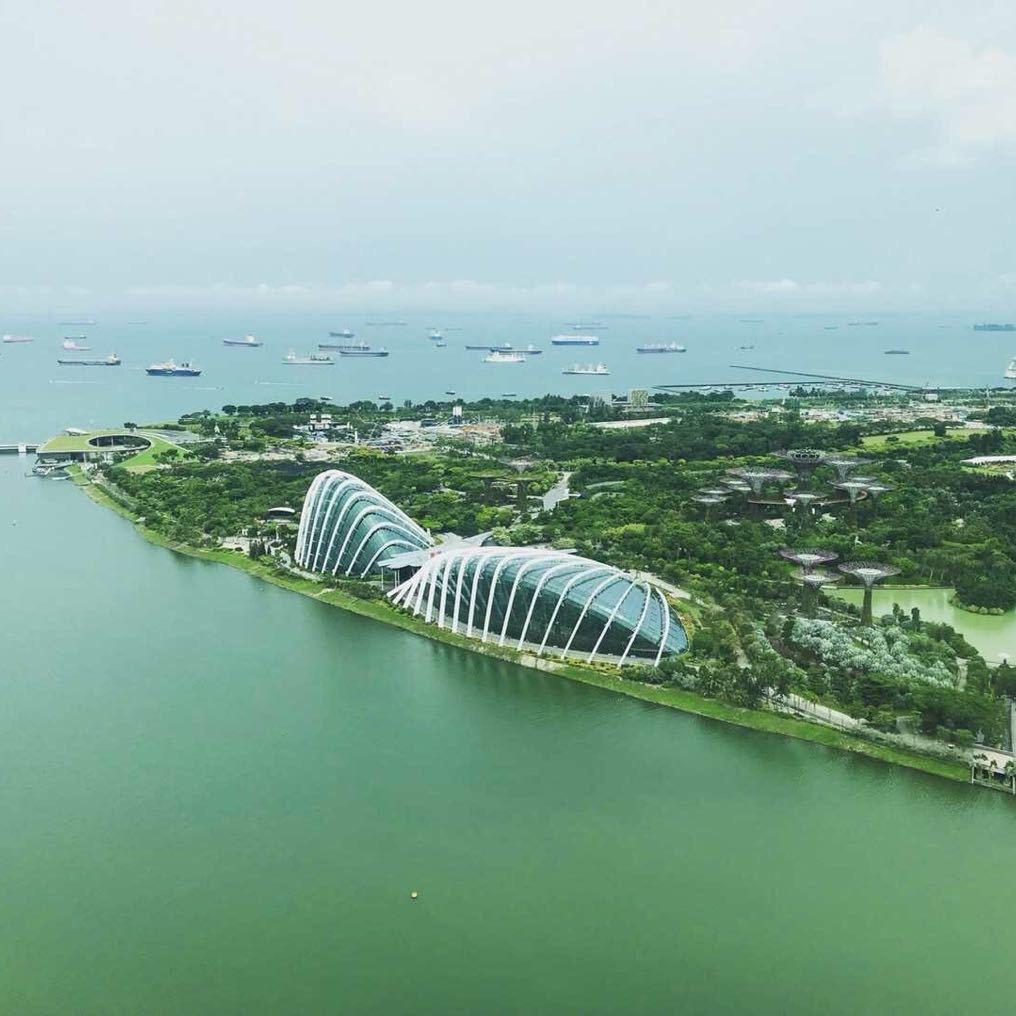谢尔比的谢