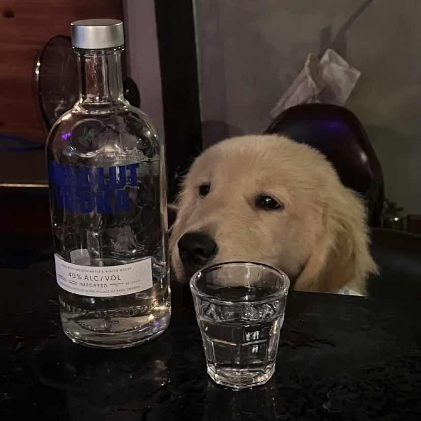 冰可乐去冰🧊