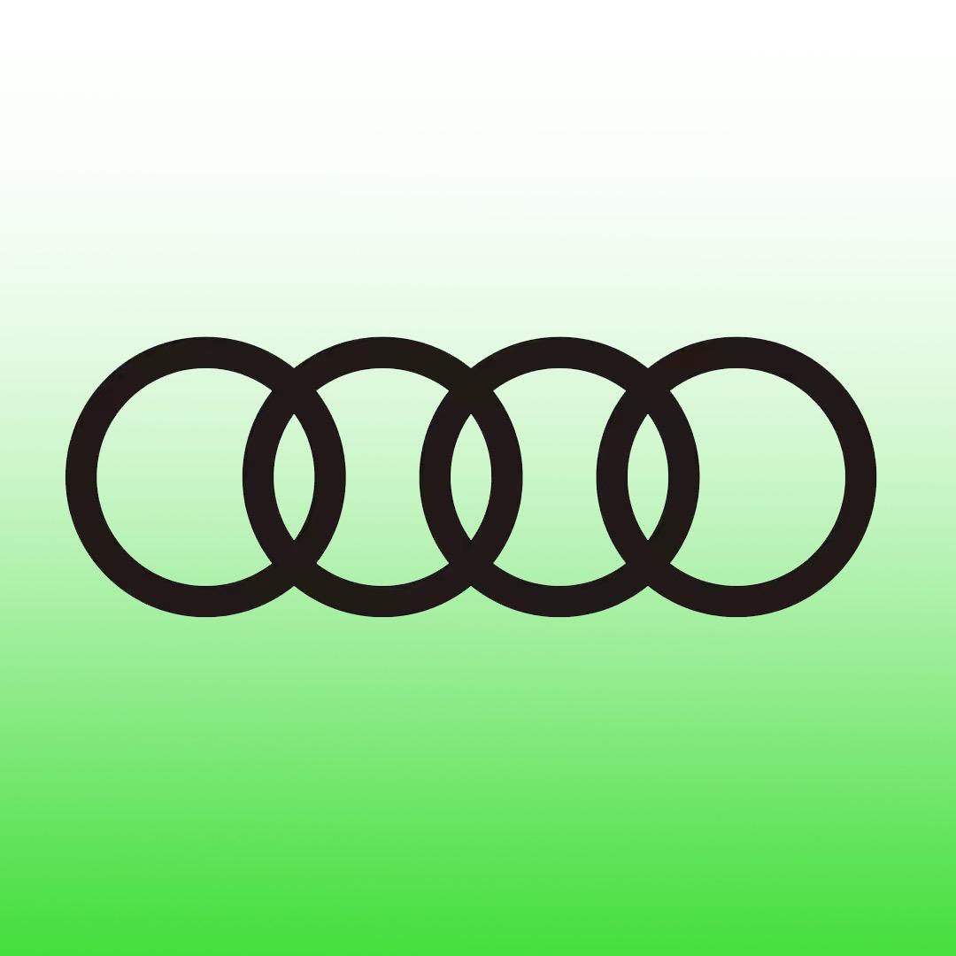 东莞捷世丰奥迪·新能源中心