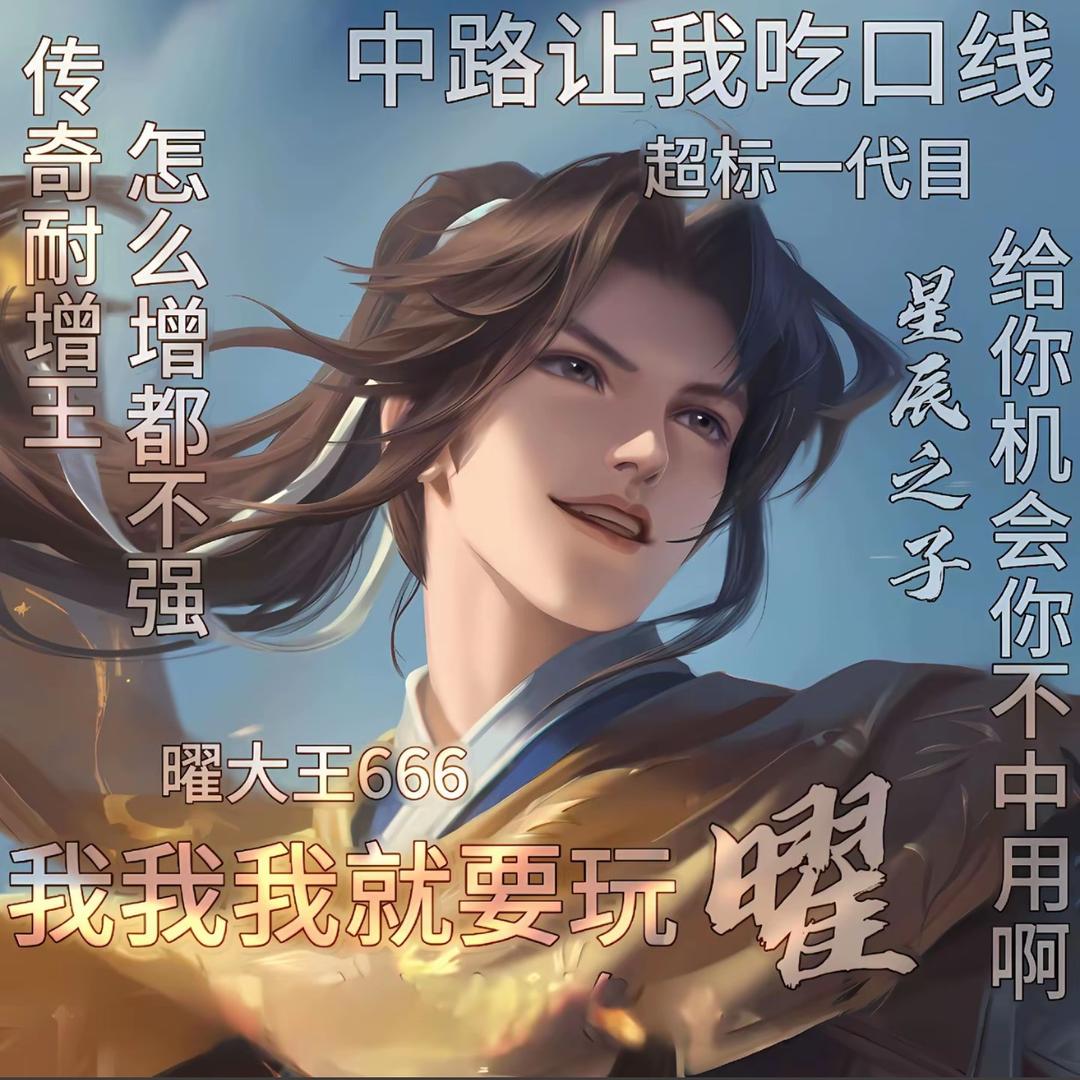 王者荣耀锦书（百段打野国服曜）