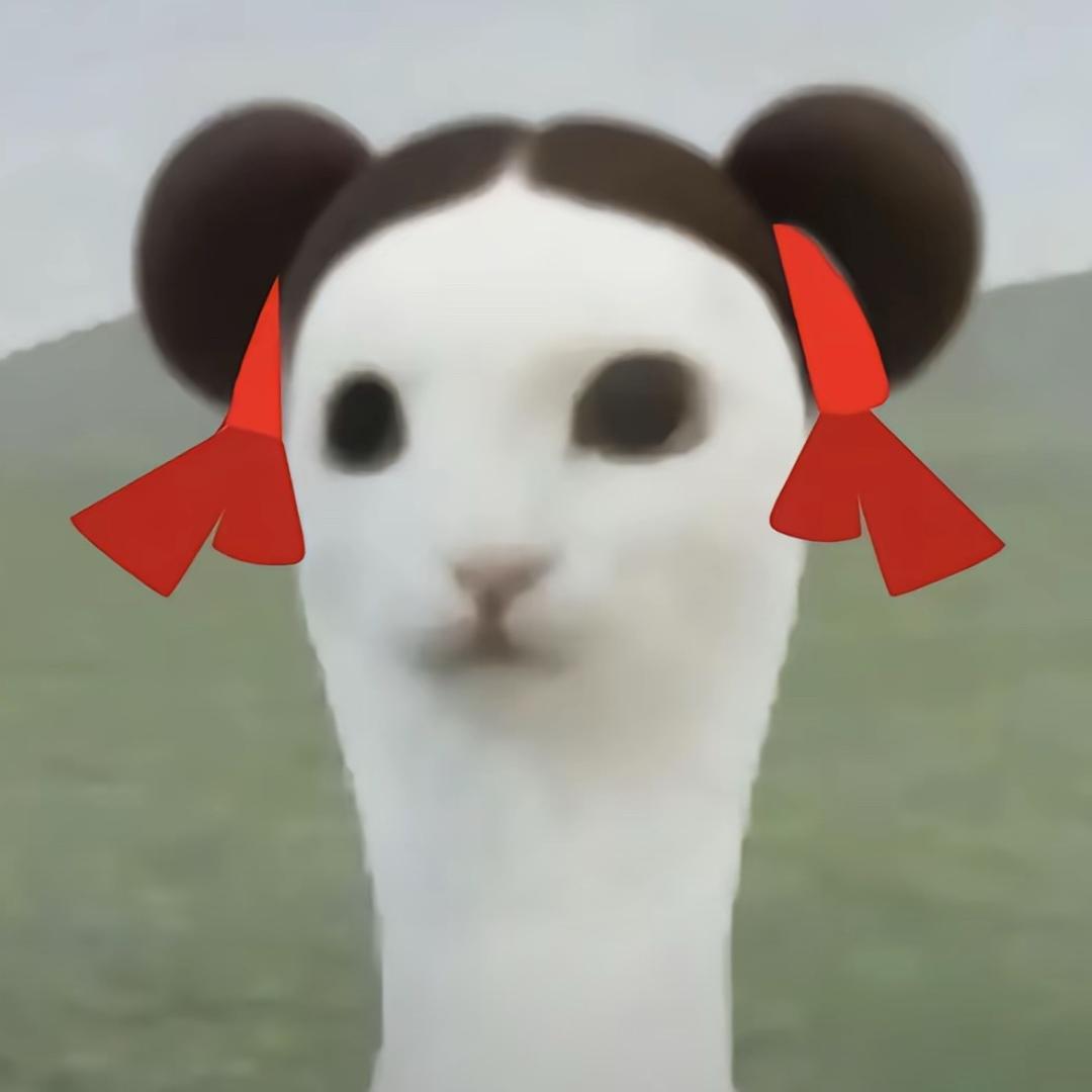 用户25809543774337