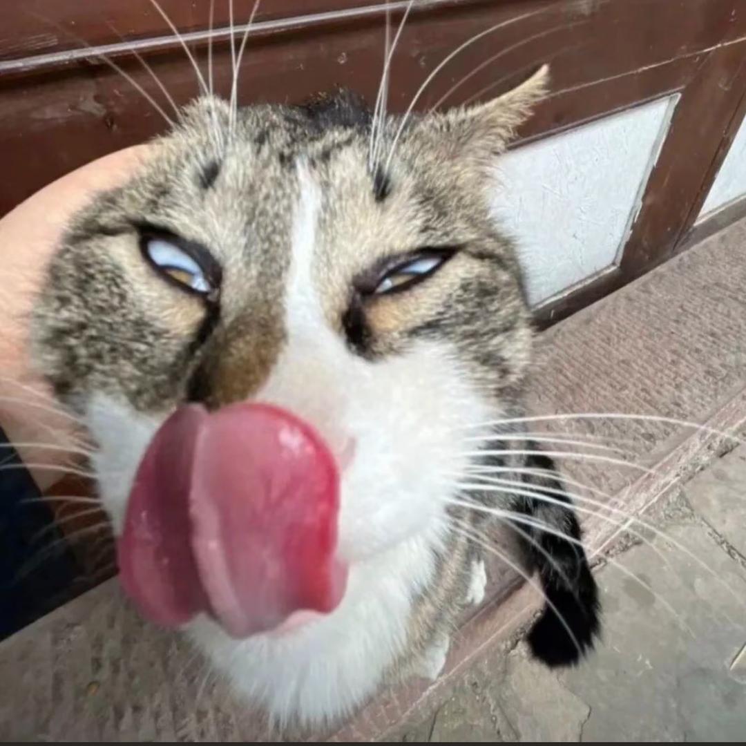年少佑为