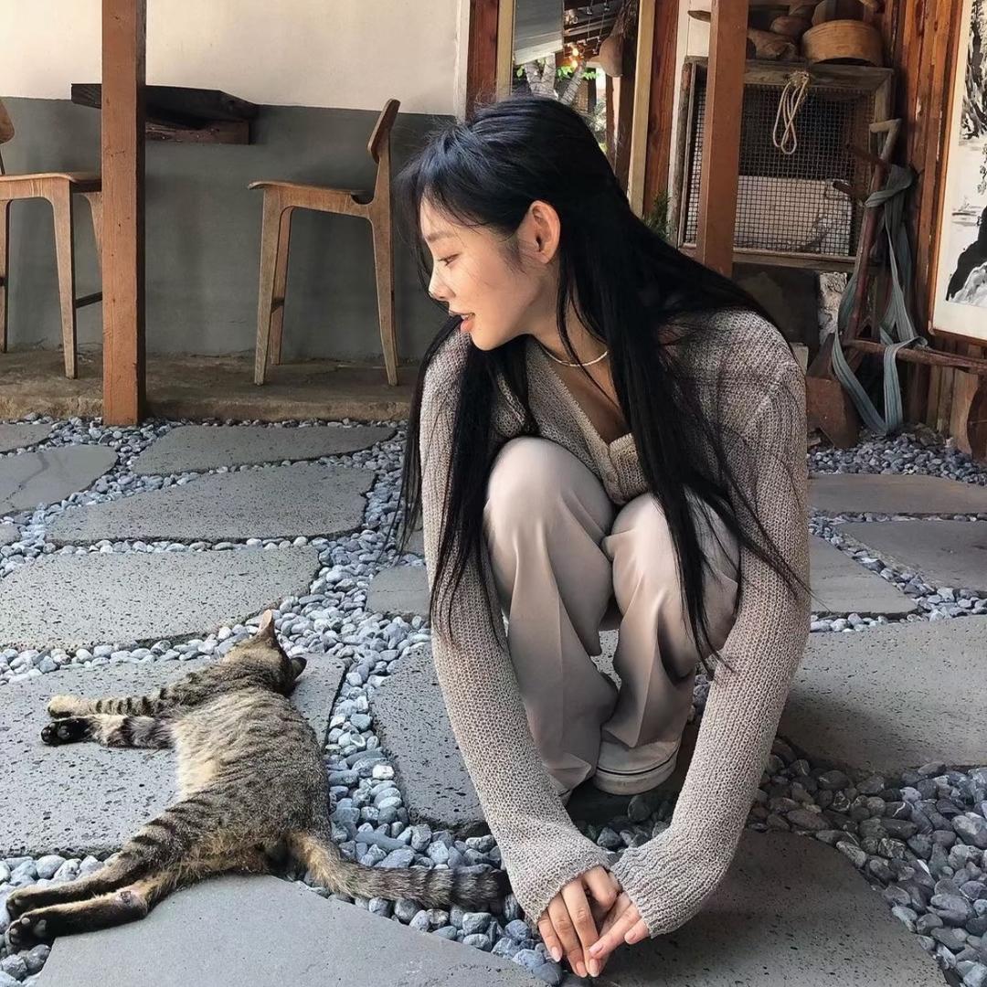 微胖少女指向标B（每日新款更新）