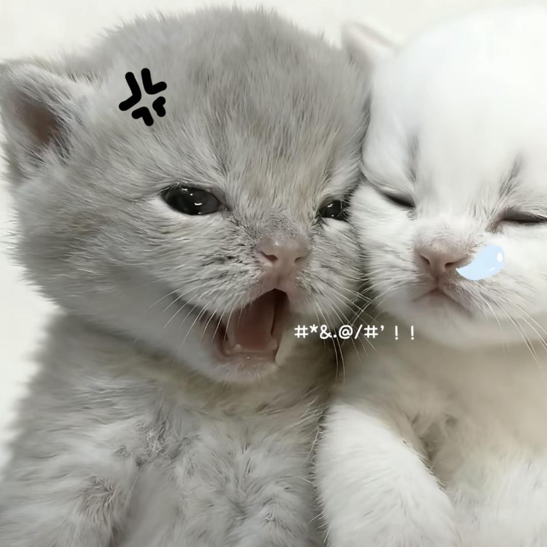 식혜둥근