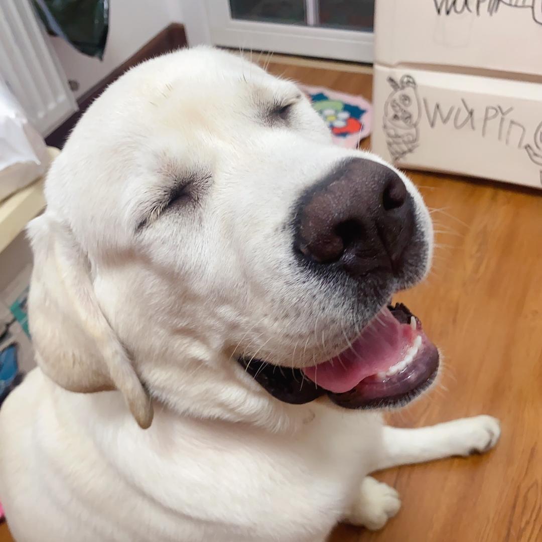 冉冉本嘟🧘🏻‍♀️