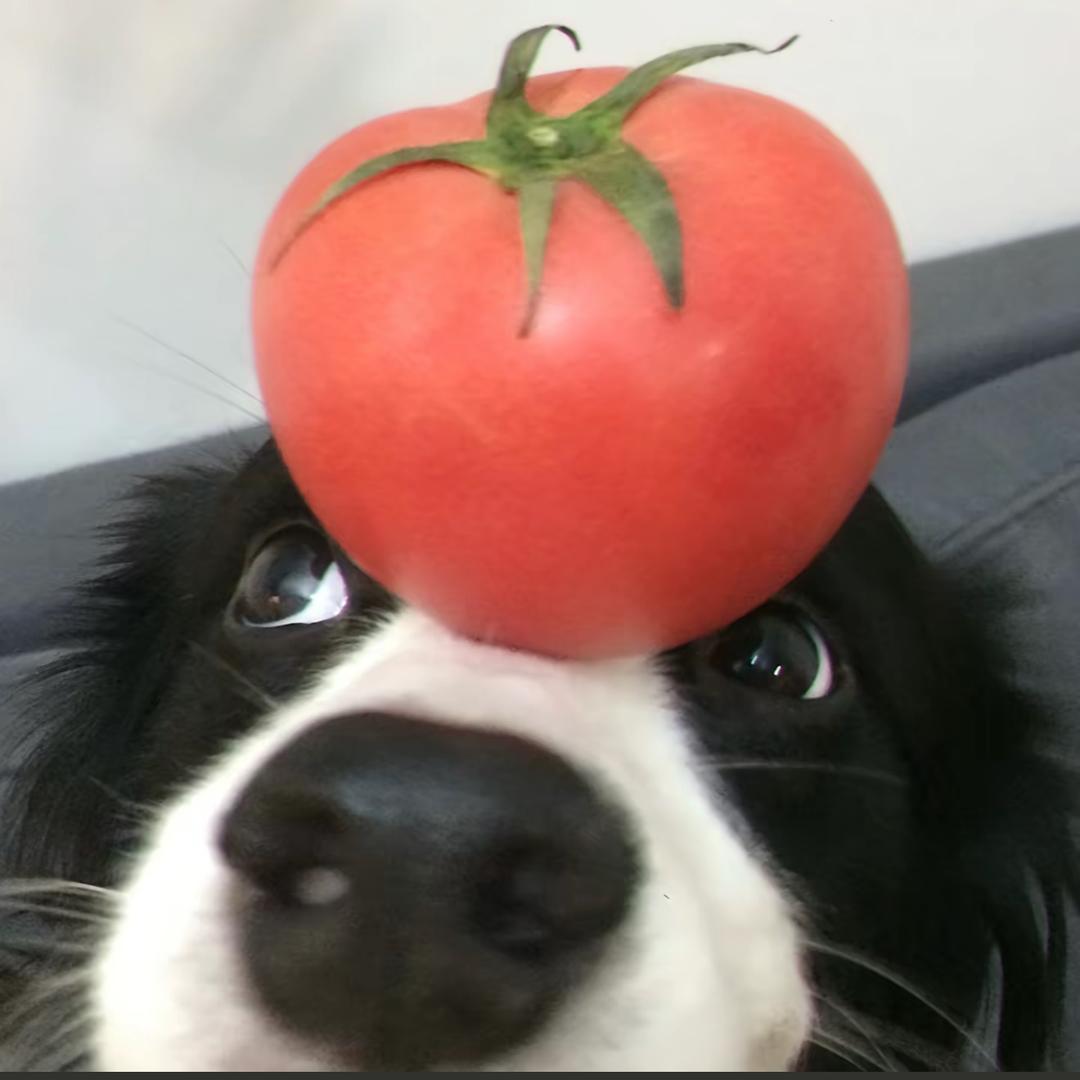 衣冠