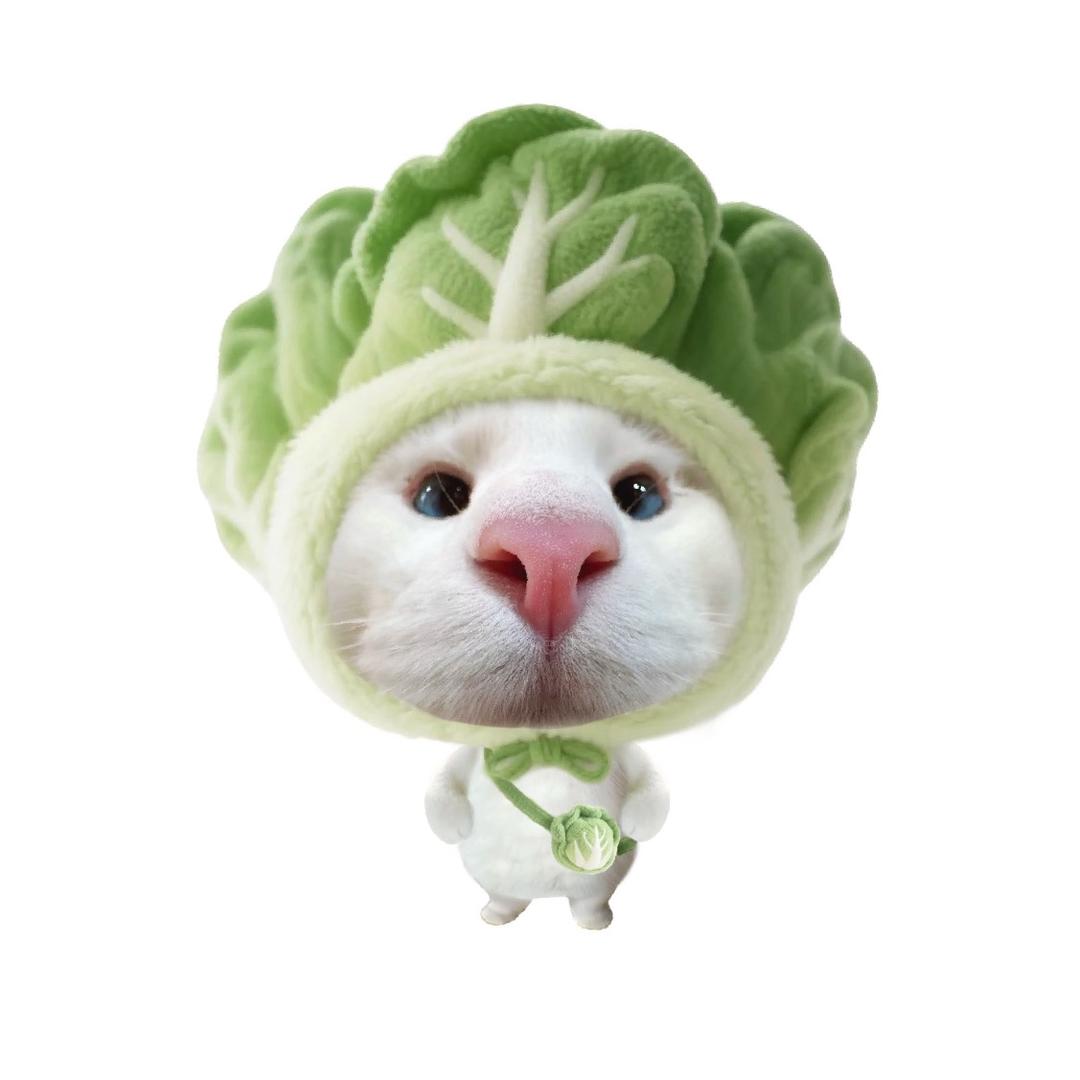 小甜菜🥬