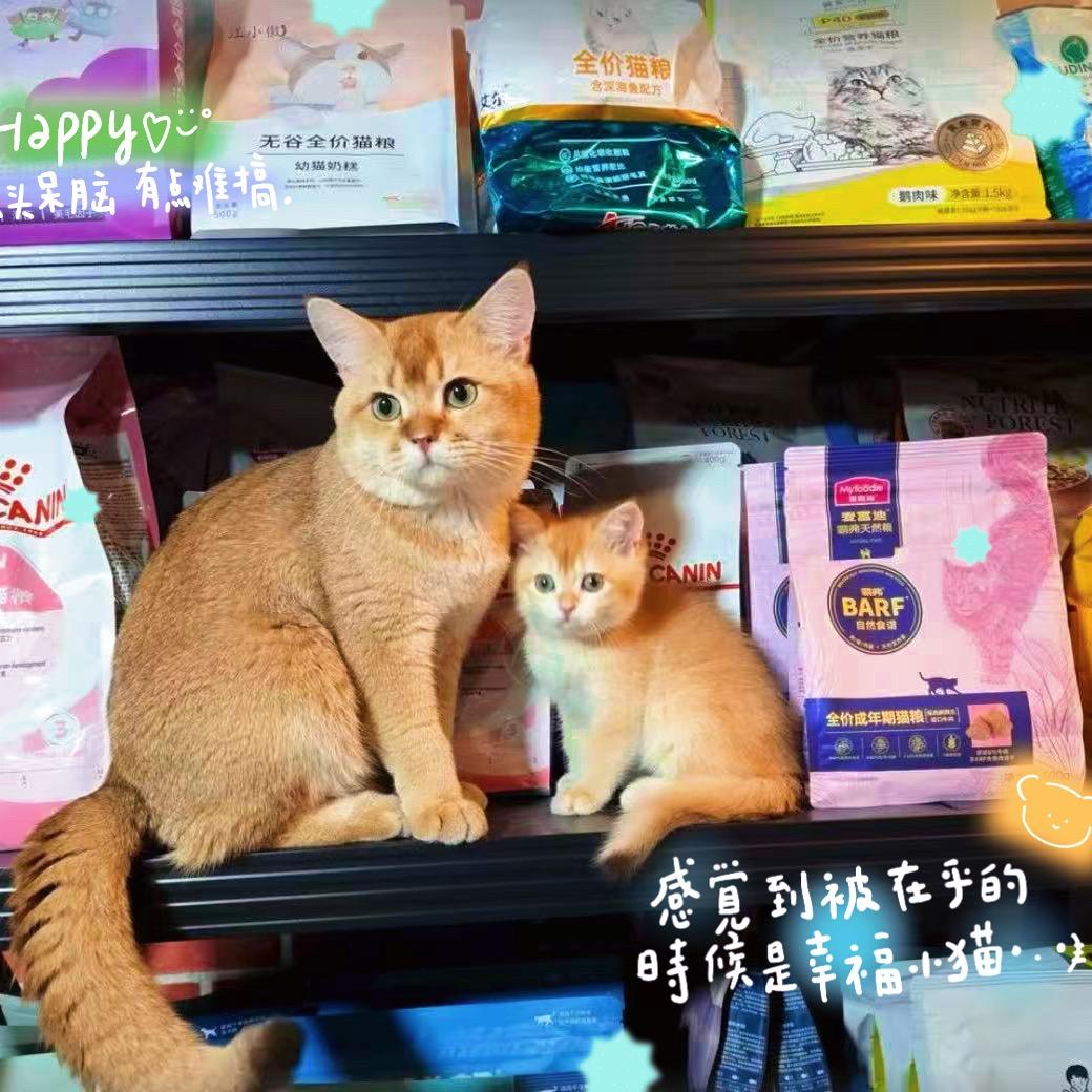 七宝宠物用品大礼包