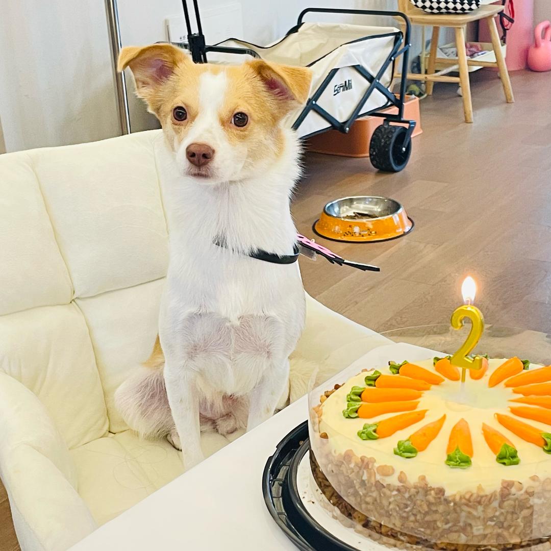 车厘子车总🍒🍒🍒