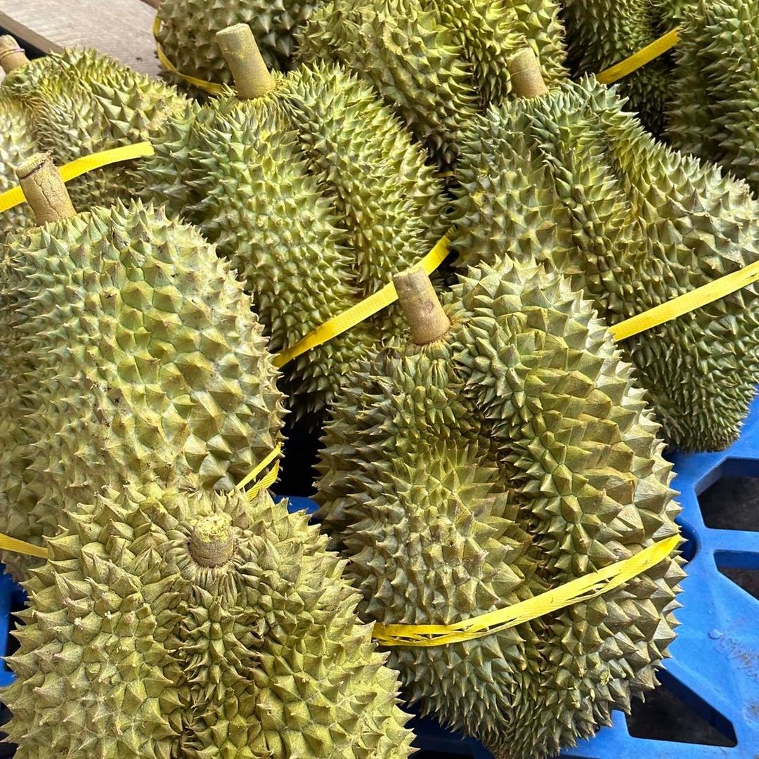 基地优果 原产地水果供应链