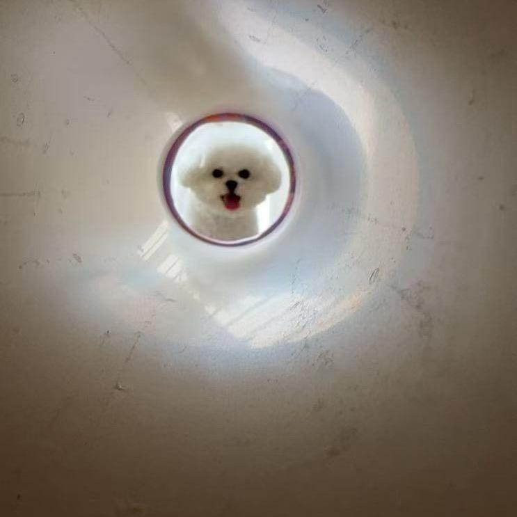 刘敬
