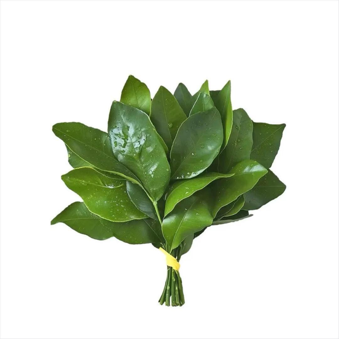 悦