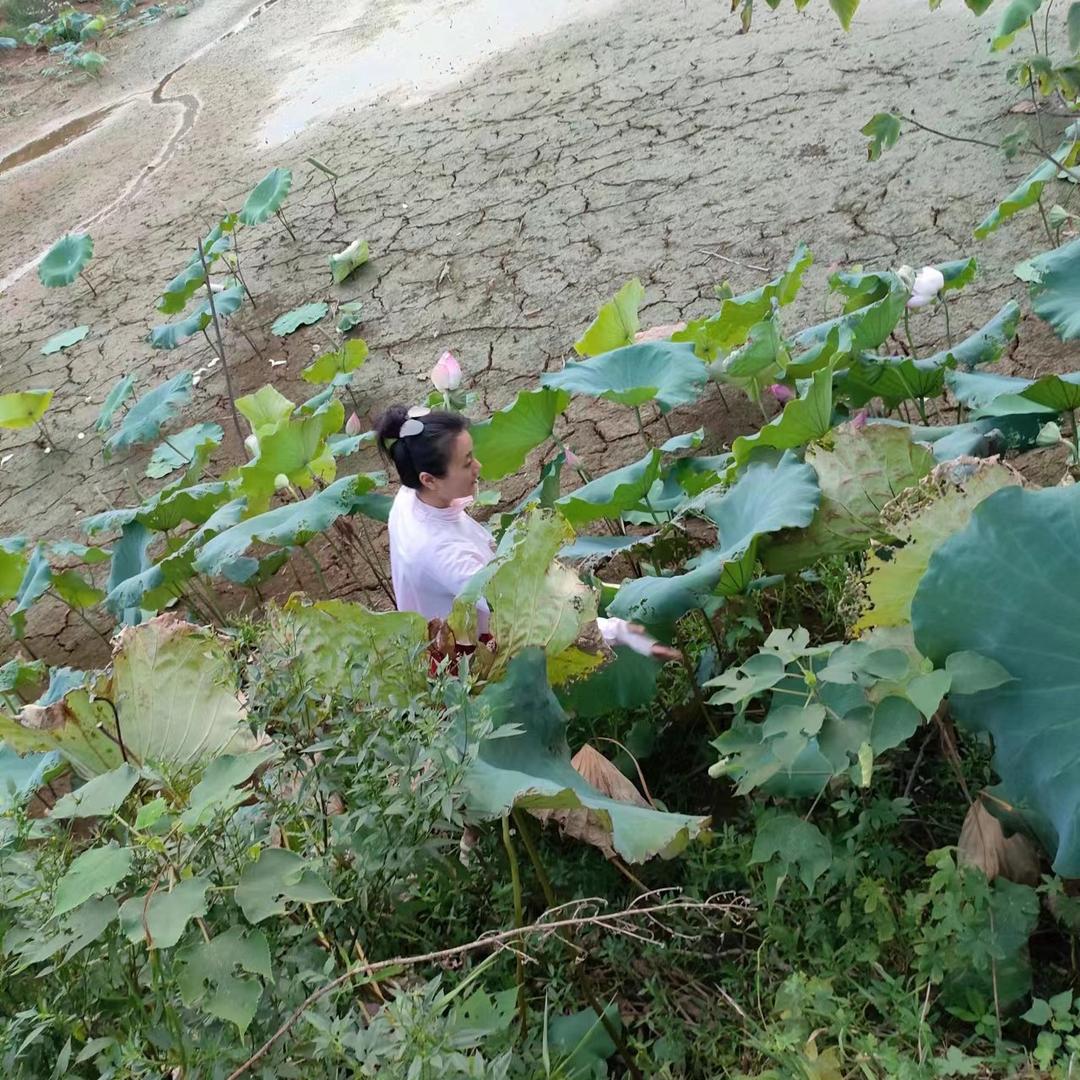 江西丰城上塘飞驰汽修厂