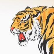 Tiger的课