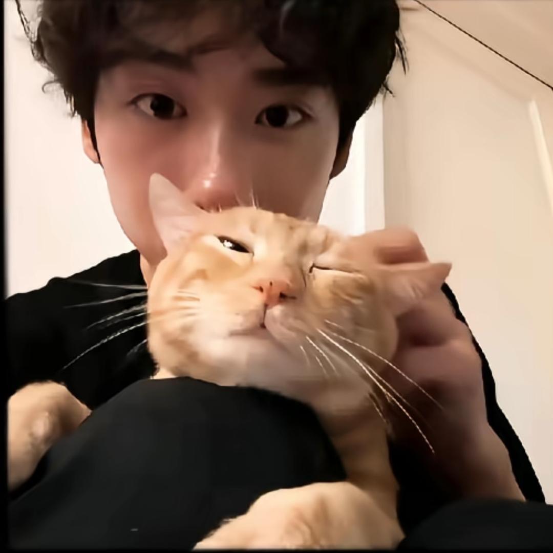 把饭加满