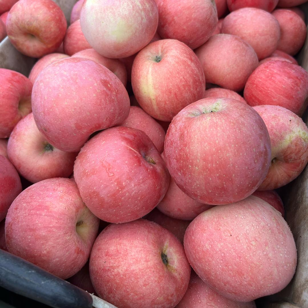 赵敏 烟台苹果代办🍎🍎