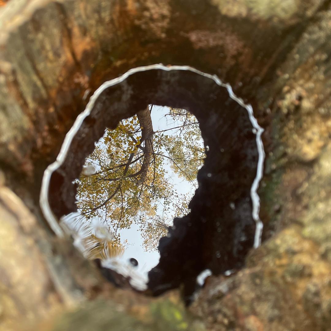 新野土特产