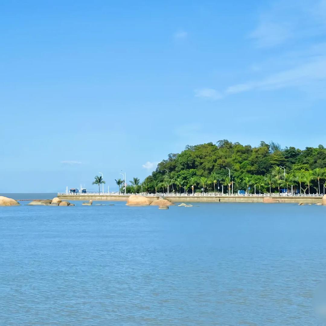 枫