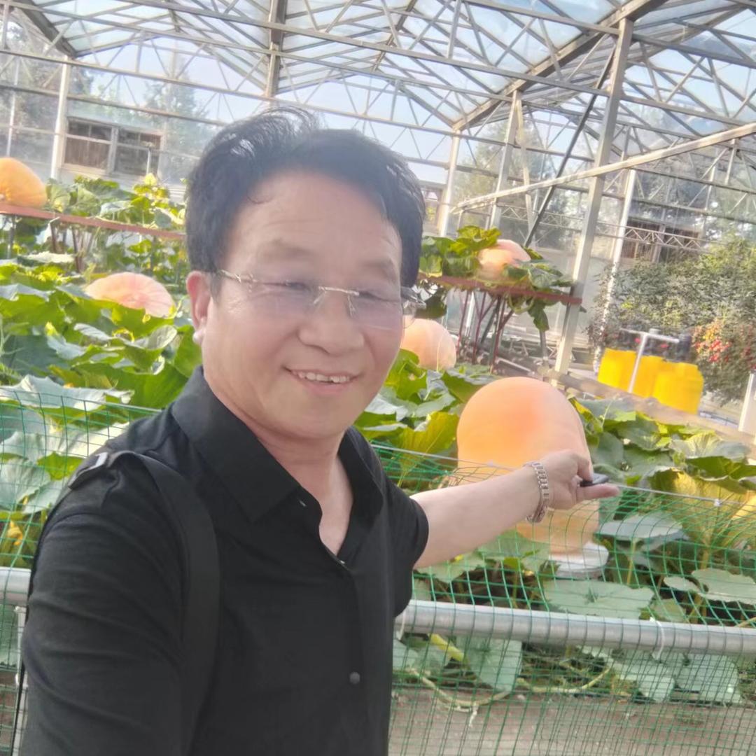 菜乡刘哥
