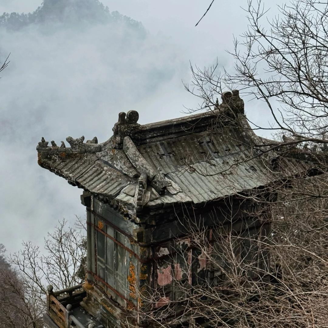 元咎