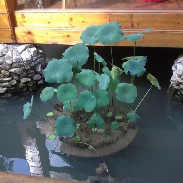 用户7943609036489