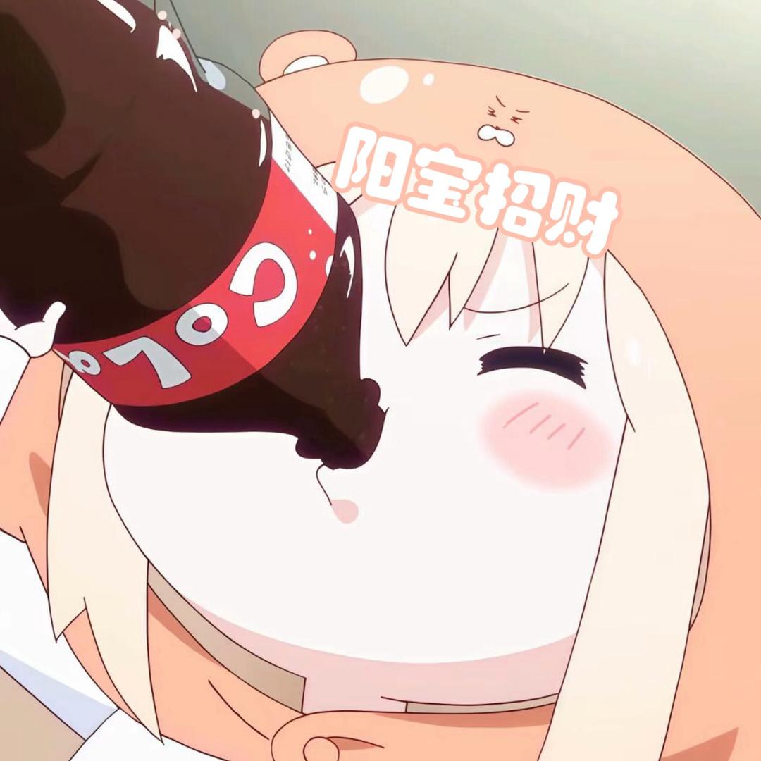 小布偶