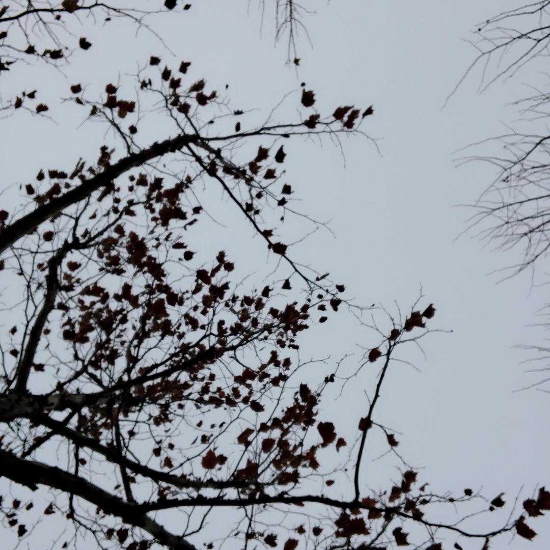 开心✧٩(ˊωˋ*)و✧?