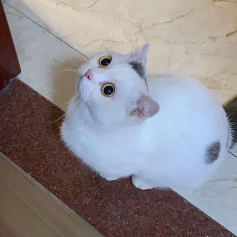 铭心❤️
