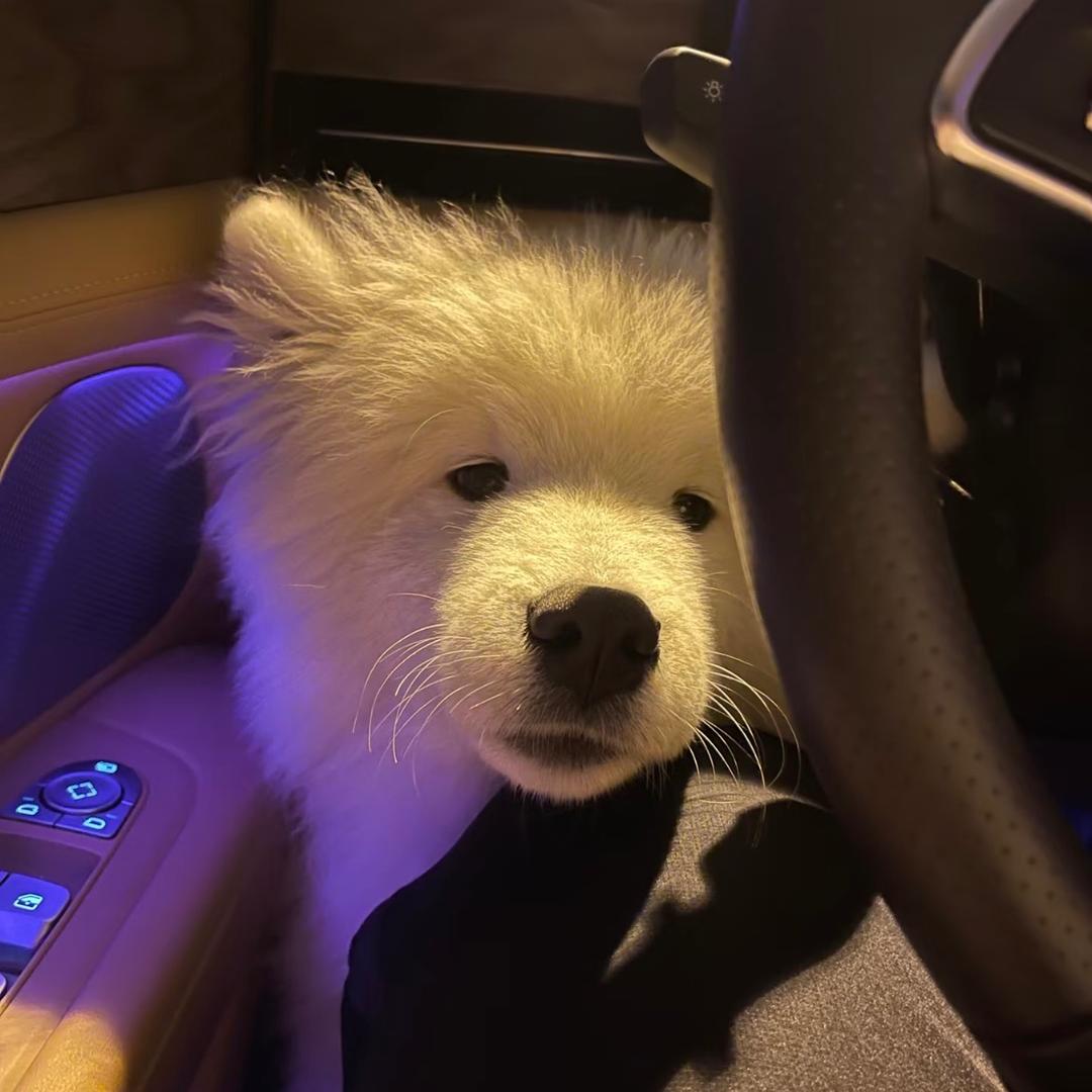 一一