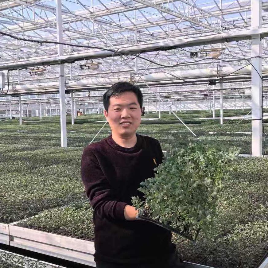 一起种8月的番茄