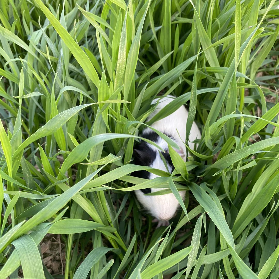 顺优鑫宠物生活坊