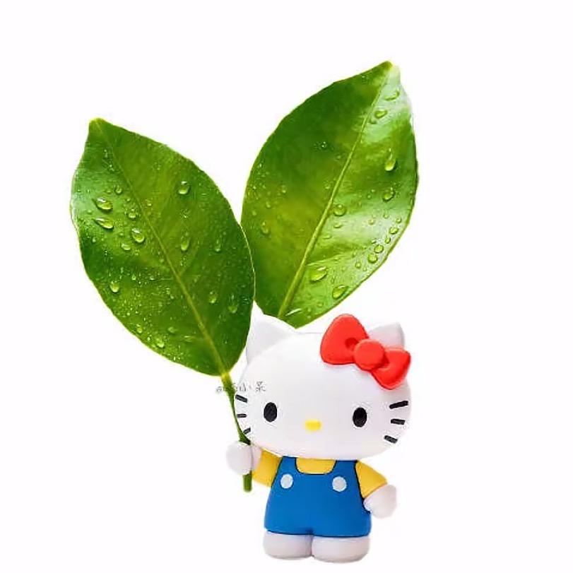 小 夏 呀