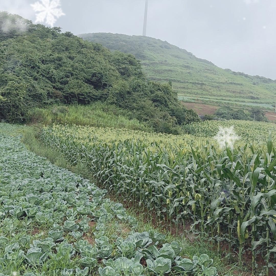 硒渝山货土特产