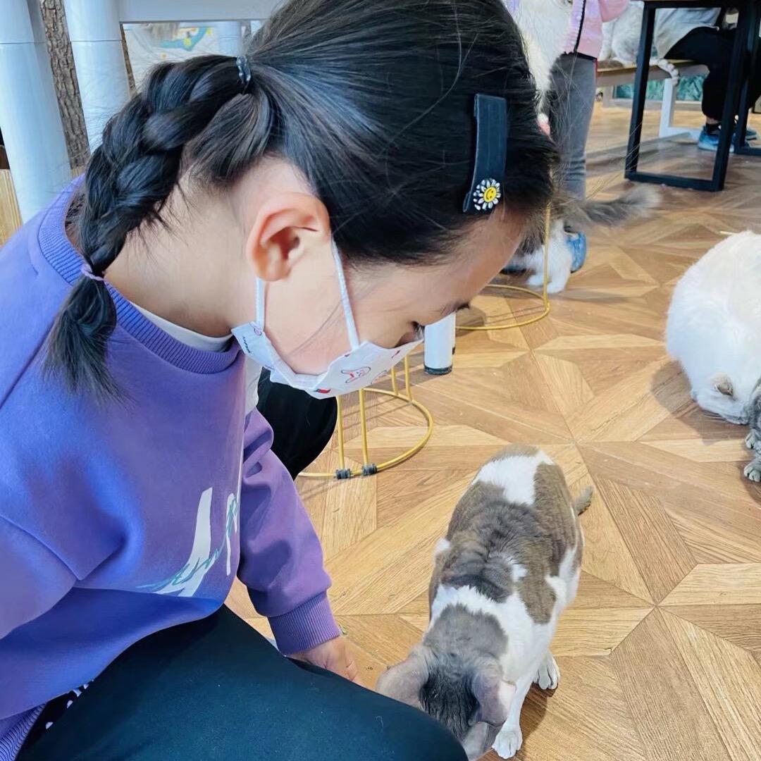 淼子麻麻