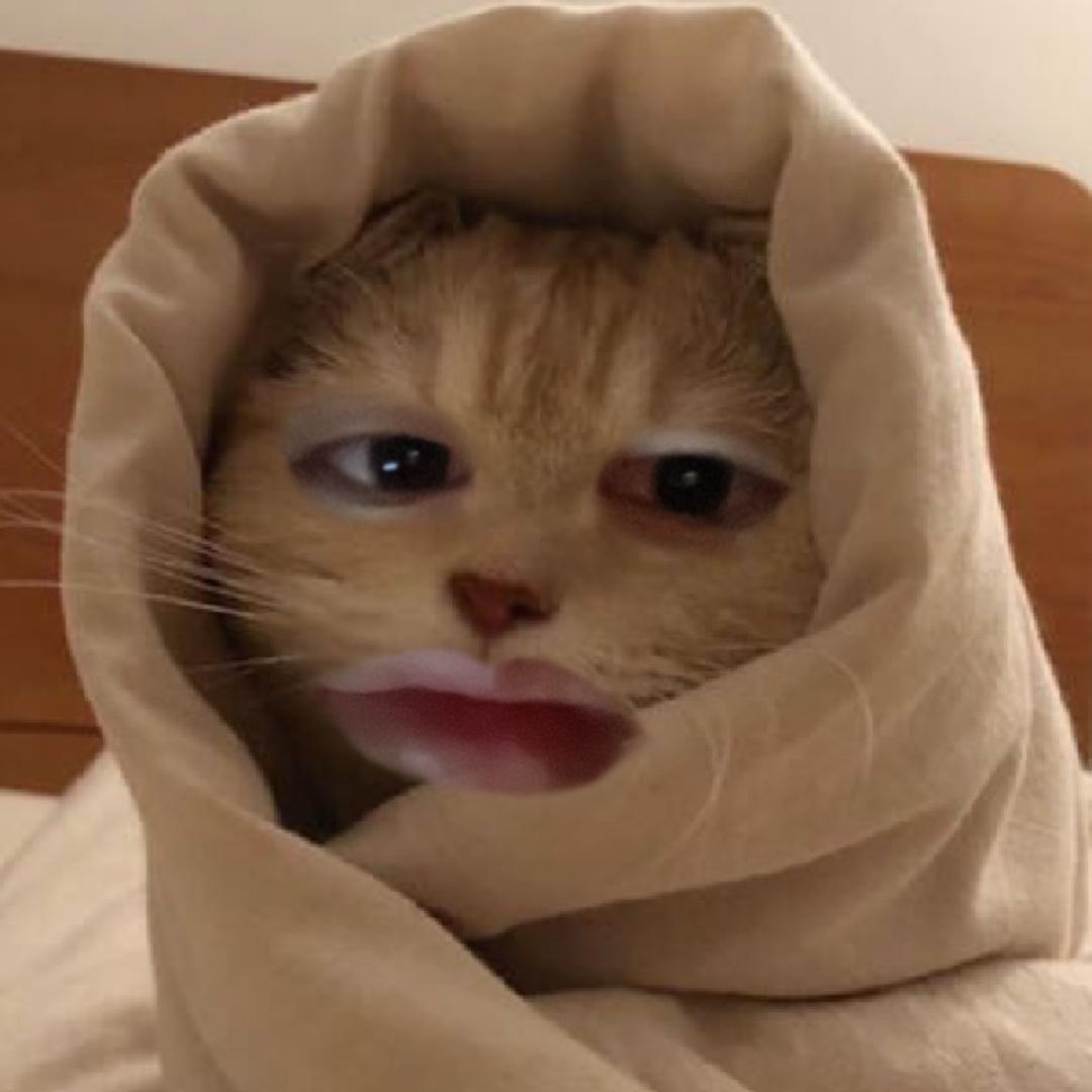刘：