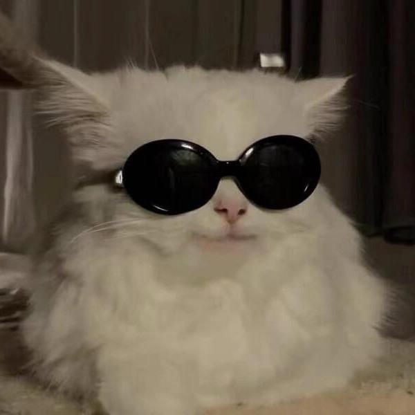🐾