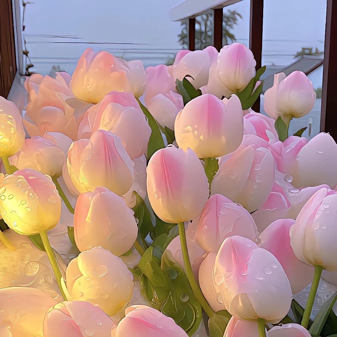 好运常伴🌻