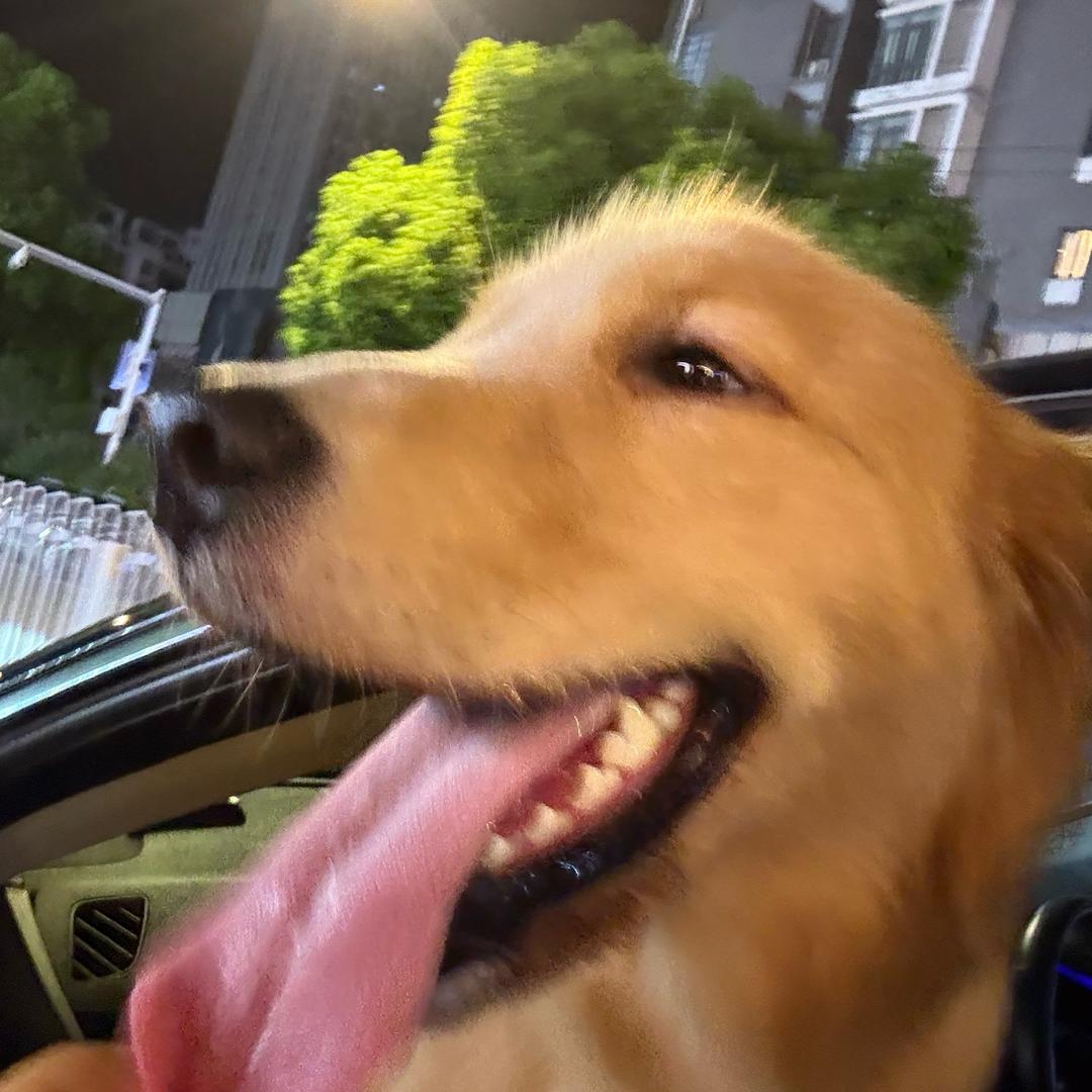 风云梦幻桌球汇-17号小雨