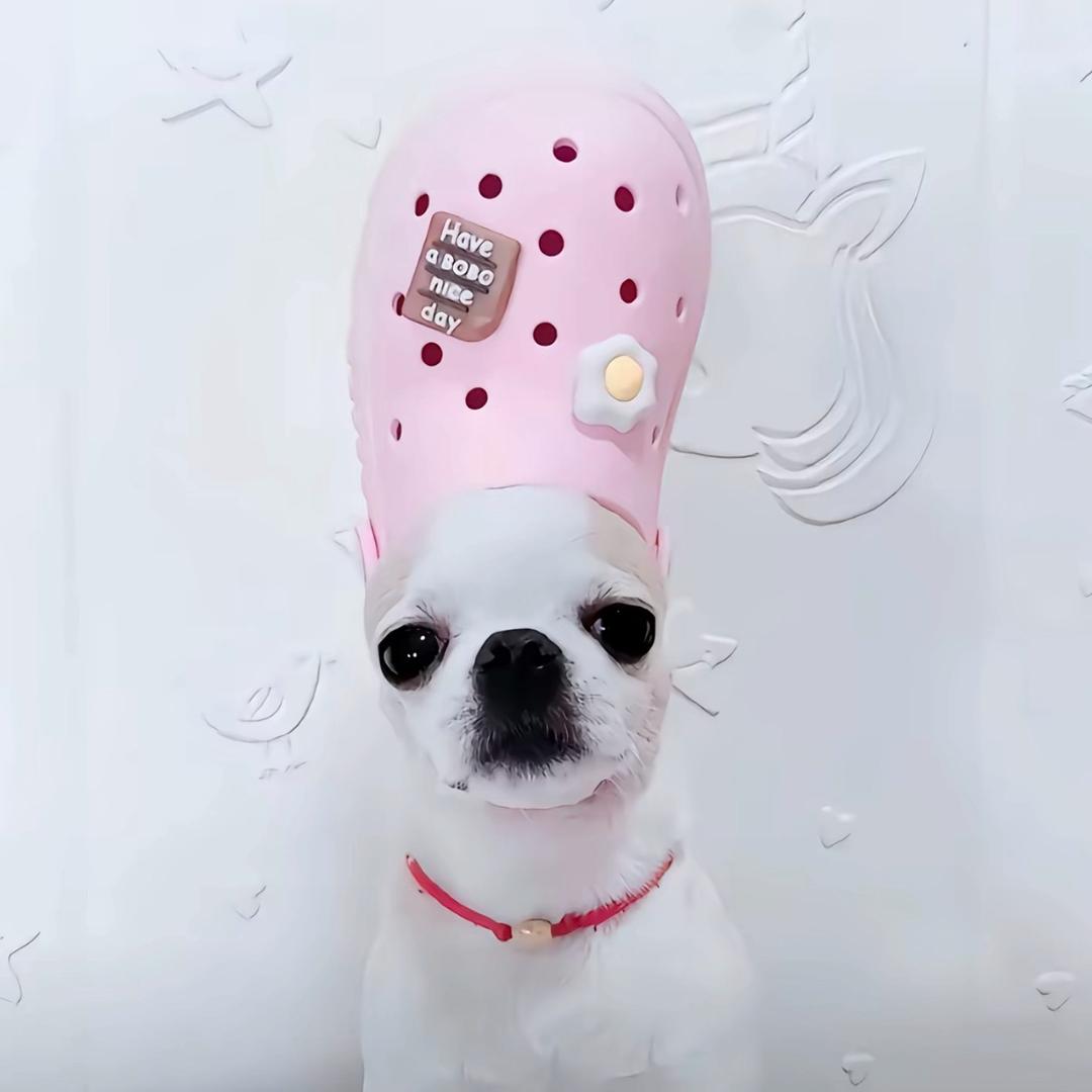 Cerberus