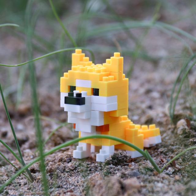 小乐君的积木们