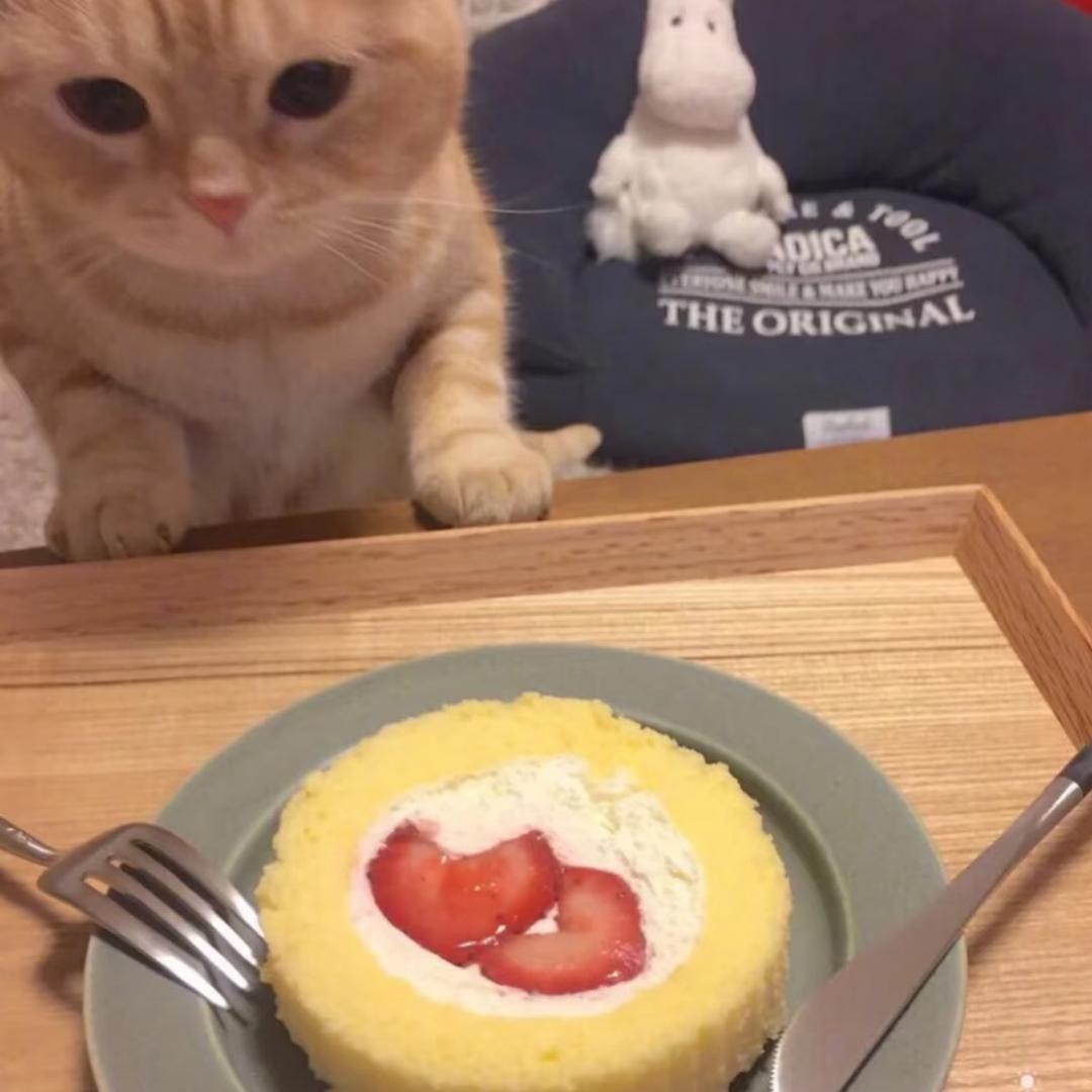 和你有几把关系