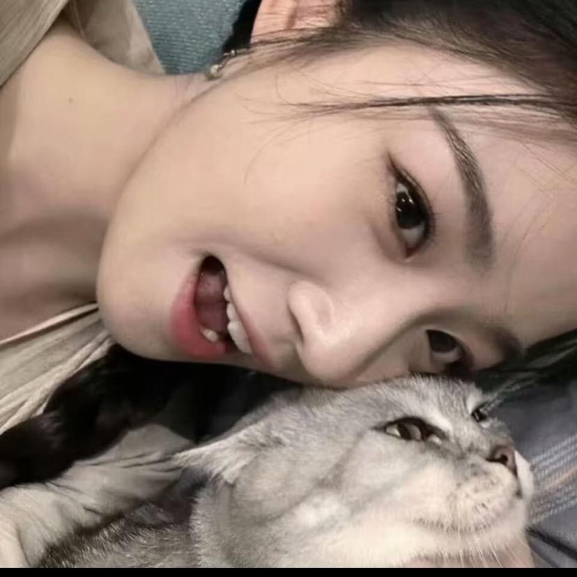 企鹅🐾