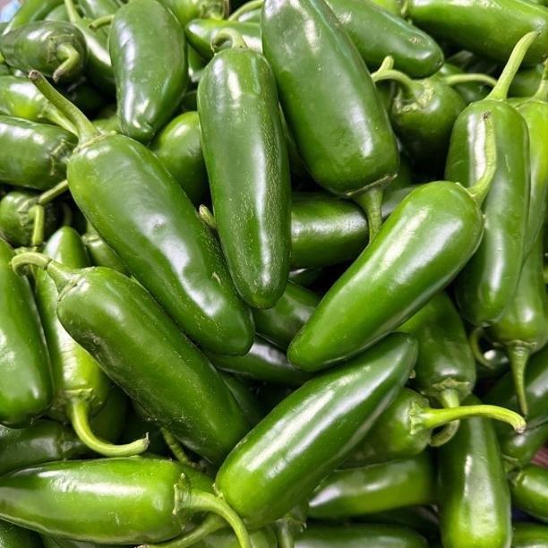 闫小丹东北土特产