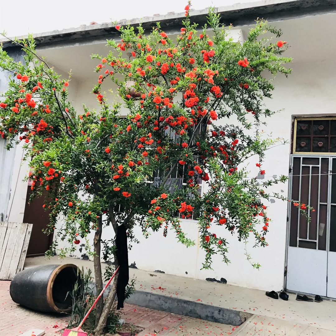 广州圆玉商贸有限公司